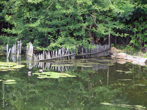 Fence Water