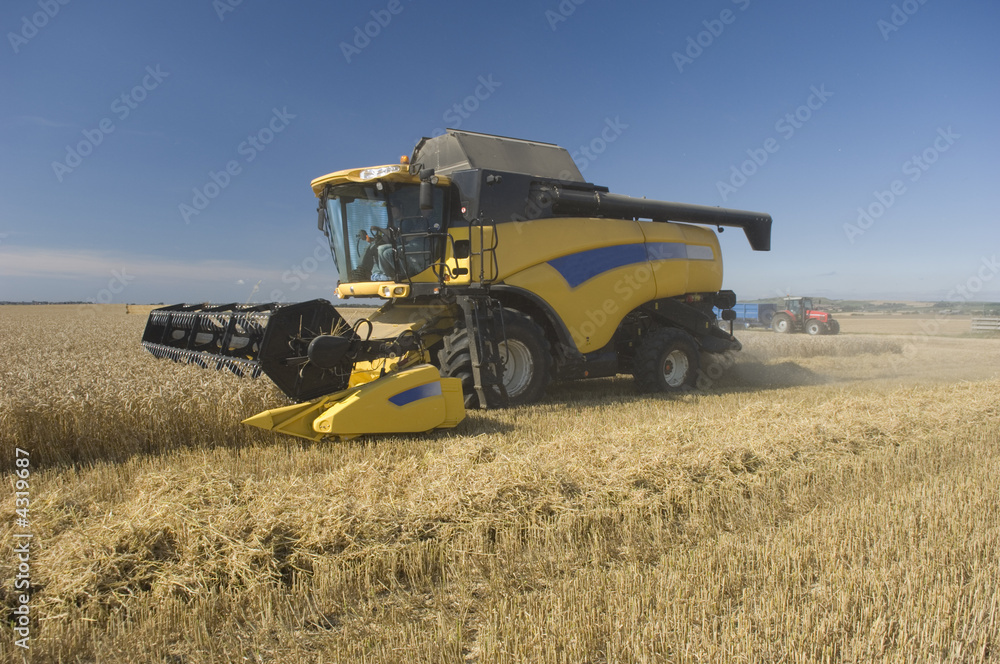 Obraz premium Combine harvester