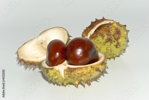 chestnuts 3