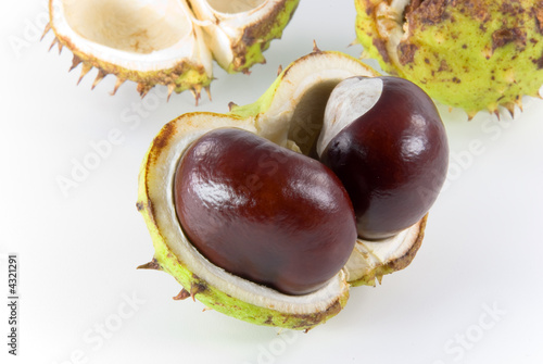 chestnuts 1