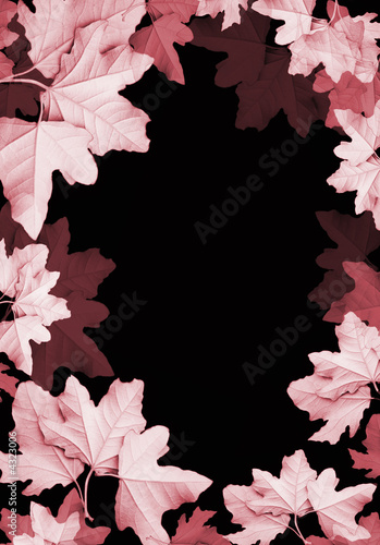 Leaves frame