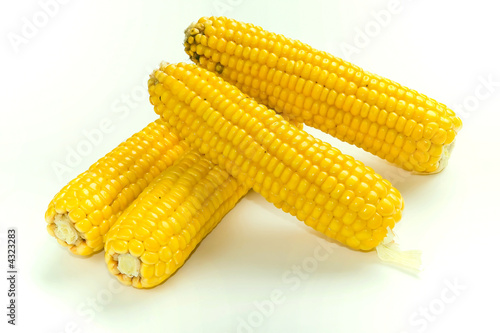 Yellow indian corns isolated on white background