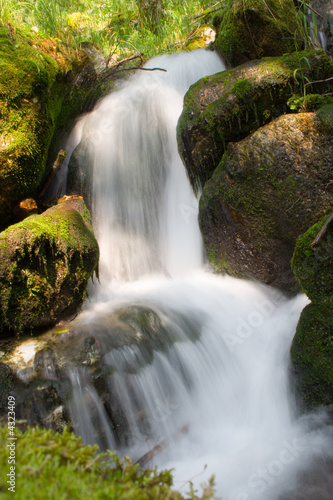 Foto mountain stream running over mossy rocks