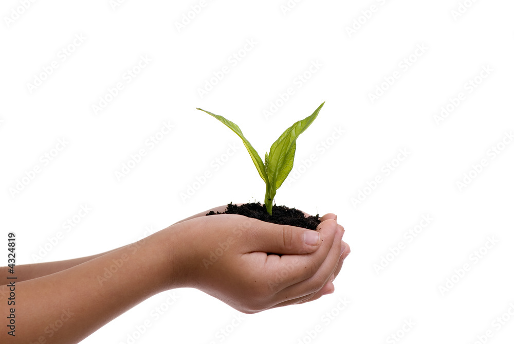New Life New Life