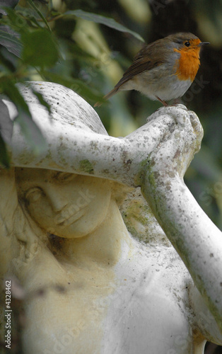 robin and statue