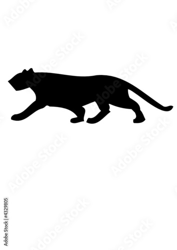 Panther