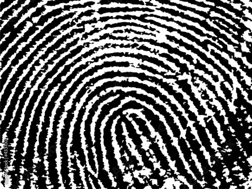 Fingerprint Crop - close up