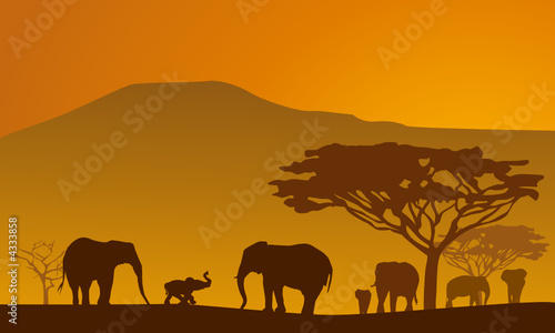 Silhouettes of elephants on backgrounds Kilimanjaro