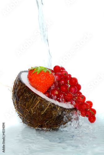 Fruit and coco