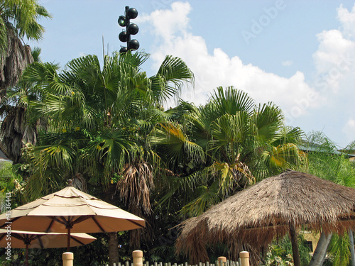 Parasols