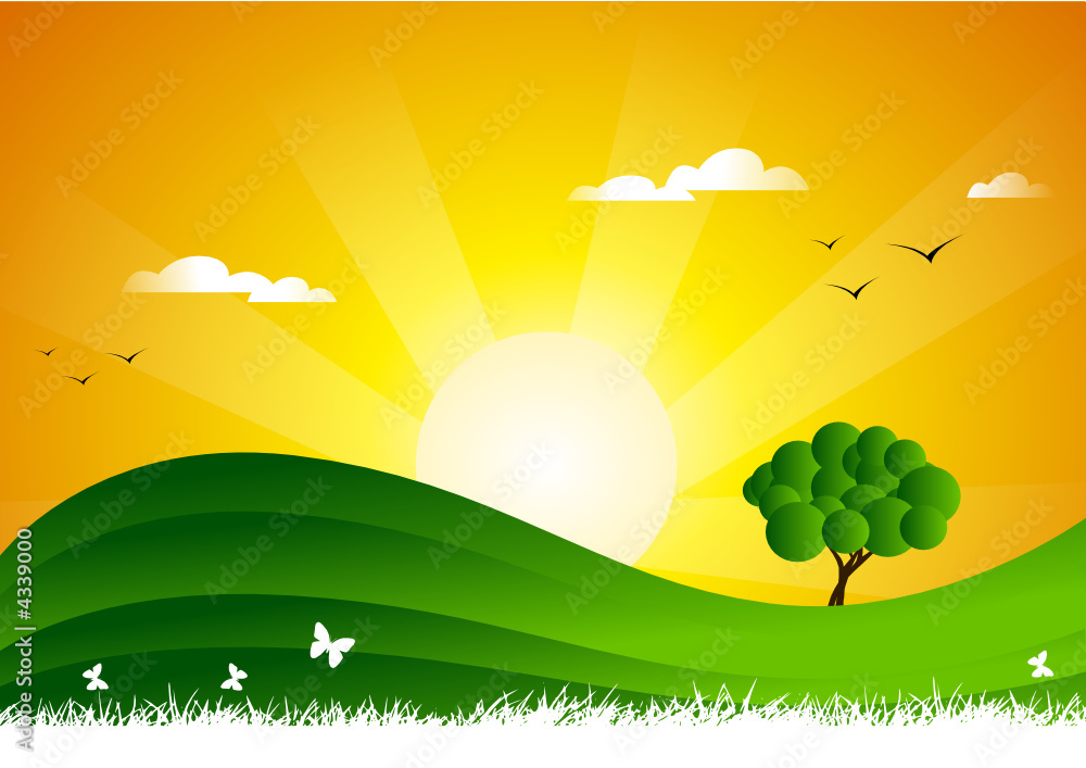 Fototapeta premium Sunset landscape