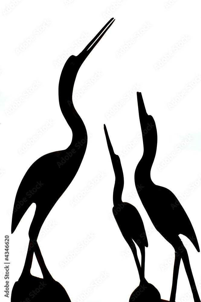 Fototapeta premium Black stork