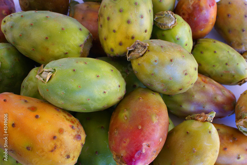 Multicoloured prickly pears