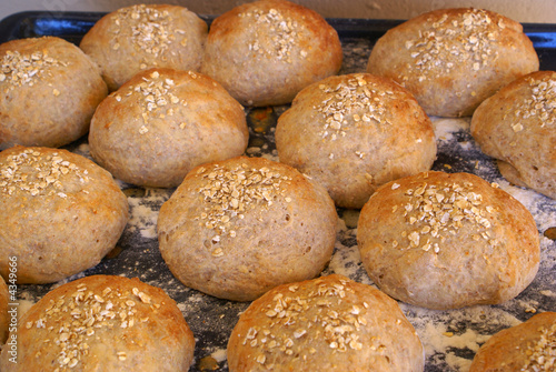 Wholewheat rolls