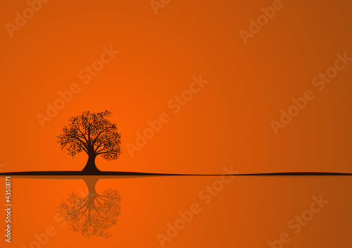 beautiful abstract vector autumn tree design