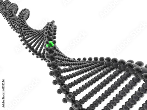 3D DNA model