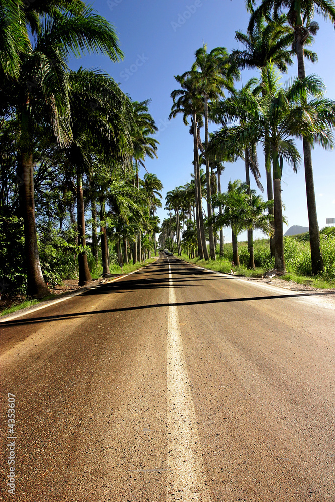 L'Allée Dumanoir de Guadeloupe.