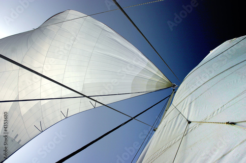 Konstfotografi Voiles de catamaran.