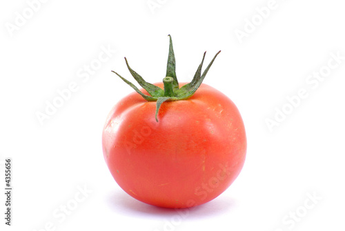 Wallpaper Mural Tomato Torontodigital.ca