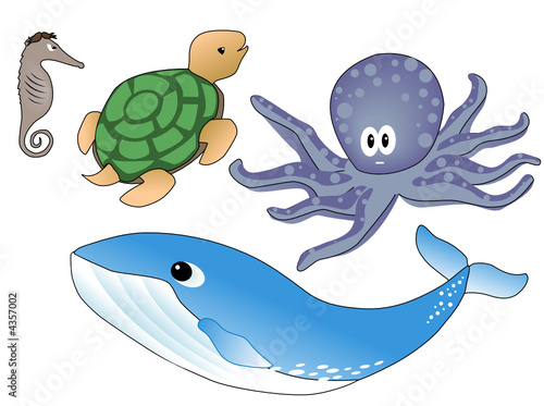 Sea Animals