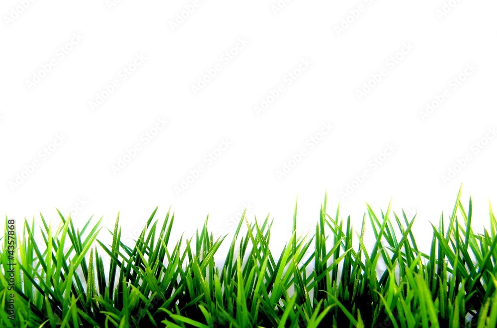 wiese pur wiese pur