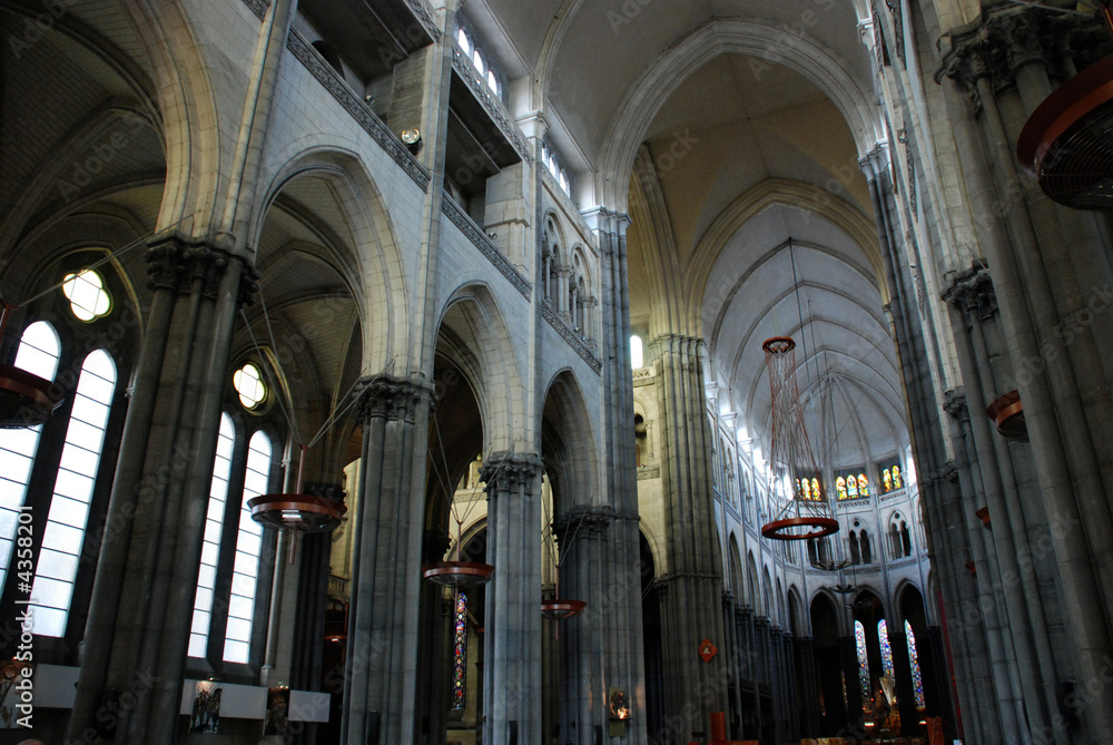 Cathédral Notre-Dame de la Treille (lille)