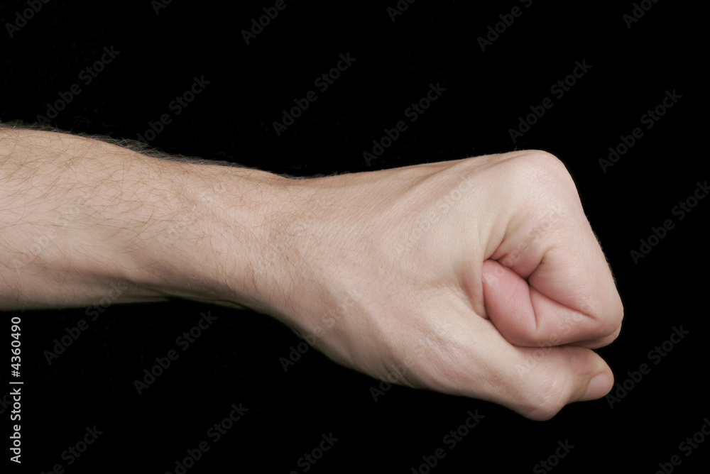 Fist Fist