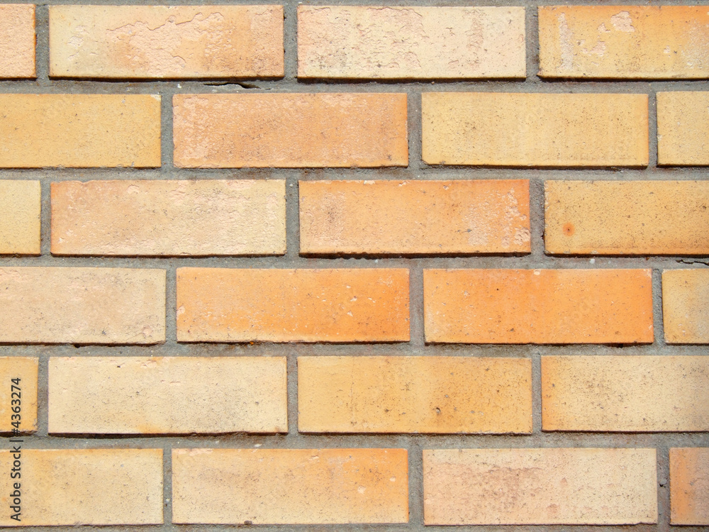 Fototapeta premium Brick wall