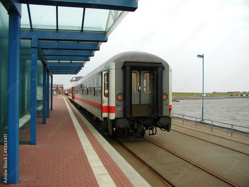 Naklejka premium OLYMPUS DIGITAL CAMERA