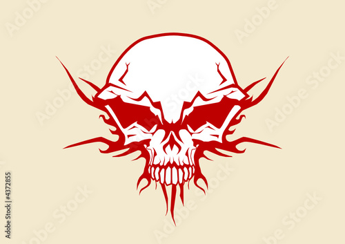  human skull