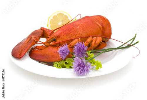 Lobster & Chives photo