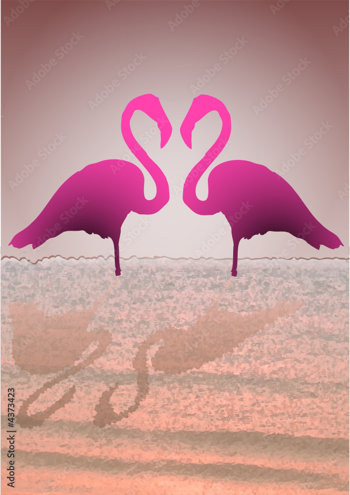 Coeur de flamants