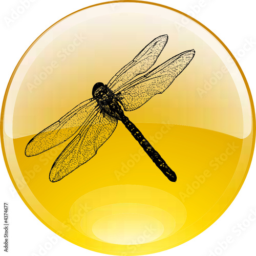 moustique fossilisé dans une ambre photo