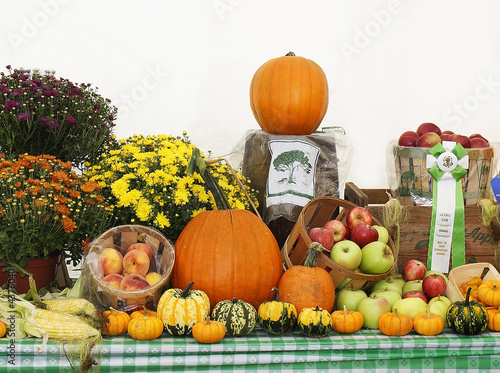 Fall Harvest