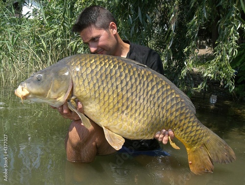 Carpa comune da record