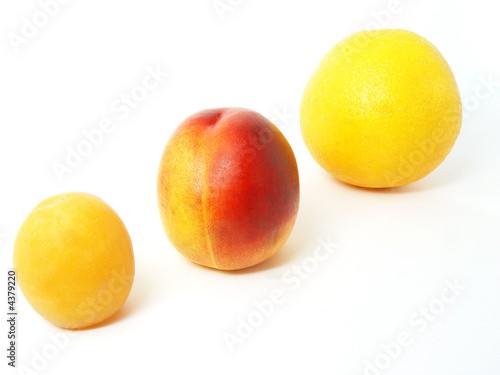 apriocot nectarine orange in line