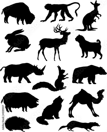 Silhouette animals.