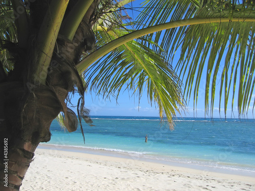 Palm tree and blue sea from Nattes island, Nosy Boraha