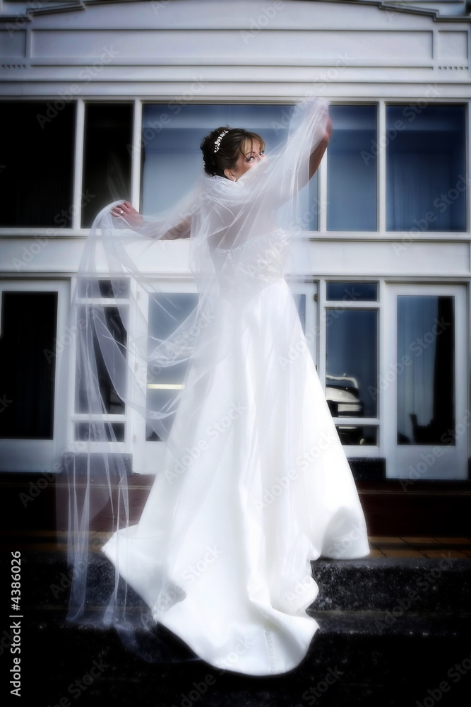 Bride and veil Bride and veil