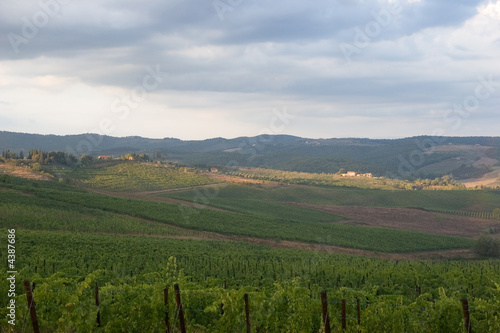 Fototapeta Naklejka Na Ścianę i Meble -  tuscany landscape