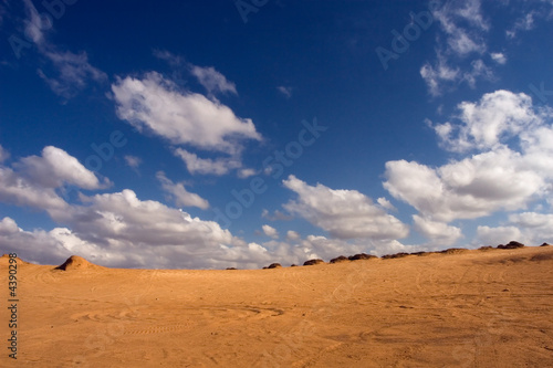 Dune