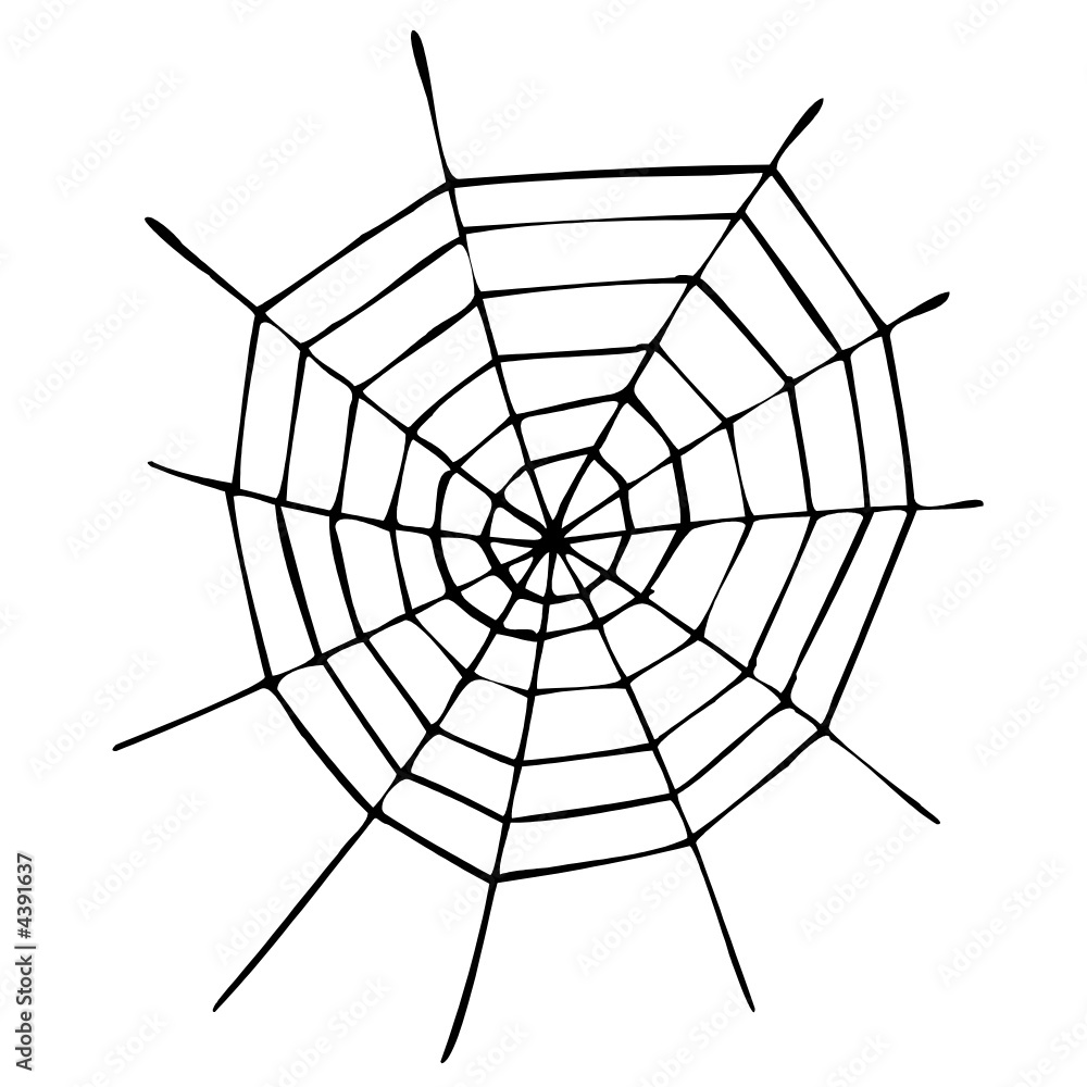 Obraz premium spinnennetz