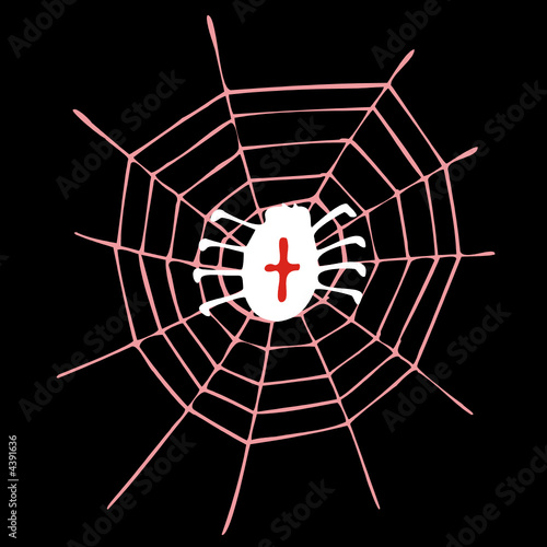 spinne im spinnennetz
