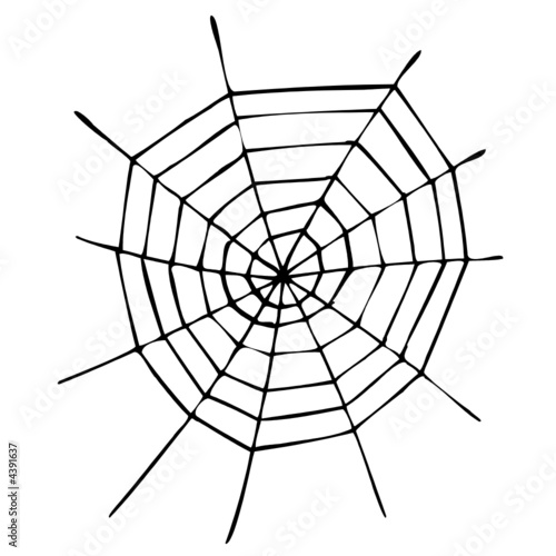 spinnennetz