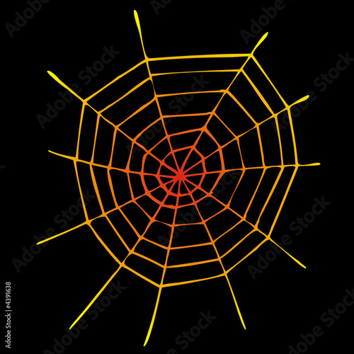 spinnennetz