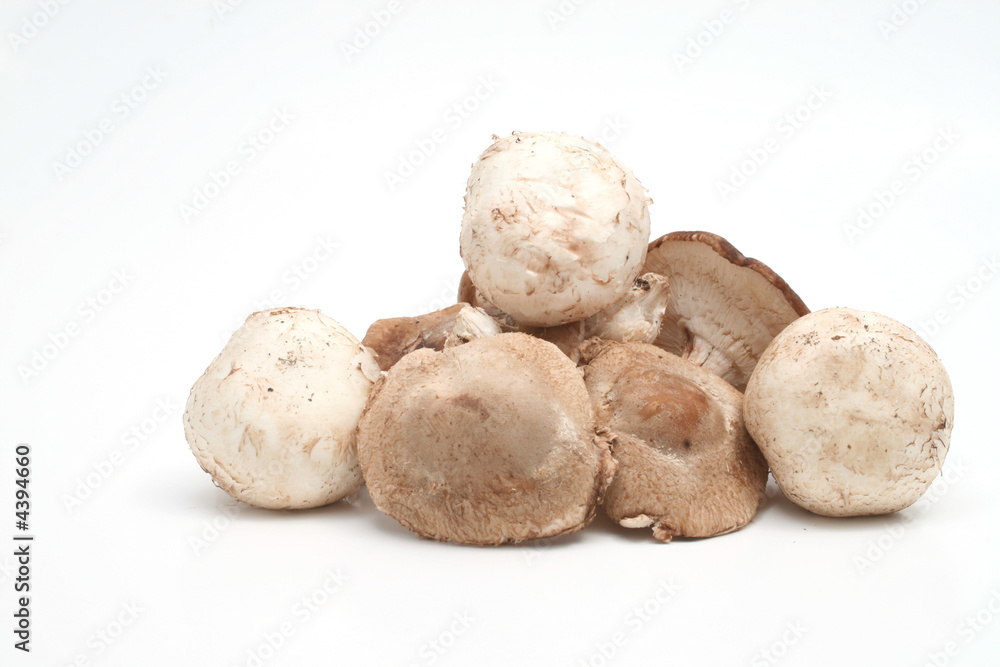 shitake and button mushrooms