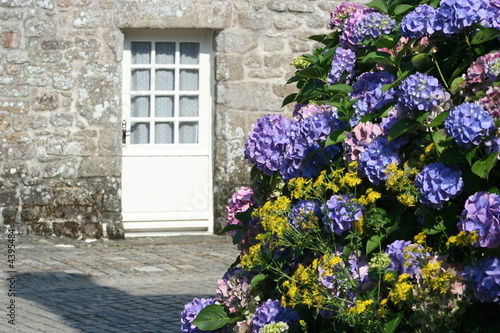 porte fleurie photo