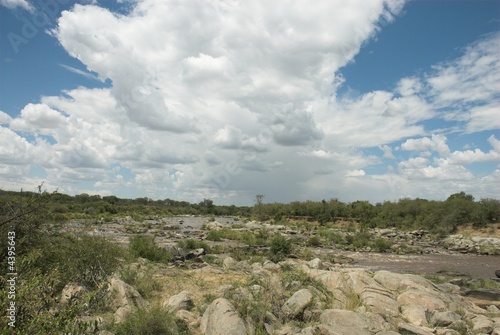 serengheti np tanzania photo