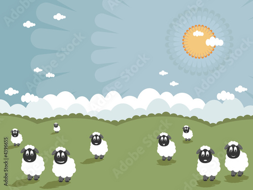 smiling sheep in a field