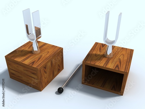 two laboratory tuning forks for experience on physicist
